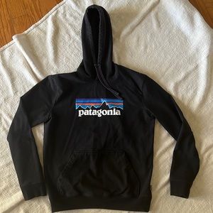 Patagonia Women's hoodie
